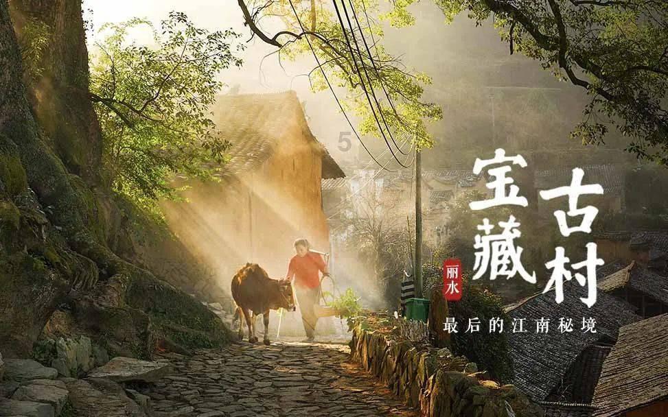 重点大学的冷门专业和一般大学的热门专业，你更倾向于哪一个？游戏画面